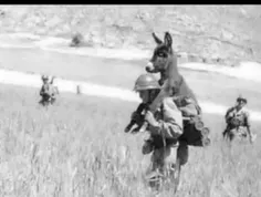 🔵 گفتم چرا ۴۷سال بعد از انقلاب هنوز دارن با بعضی ها مماشا