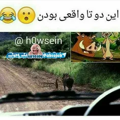 این دوتا واقعی بودن😮