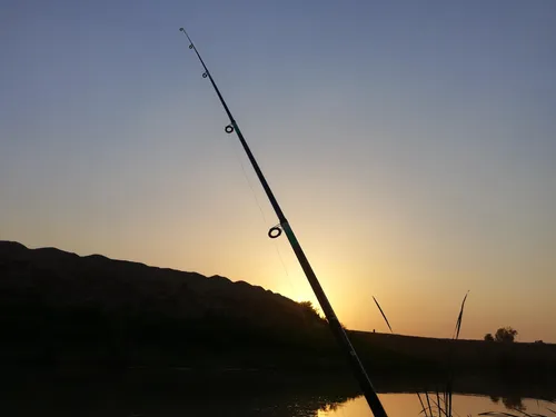 ماهیگیری تایم