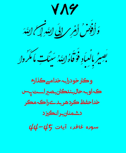 وَ أُفَوِّضُ أَمْرِي إِلَى اللَّهِ إِنَّ اللَّهَ بَصِيرٌ 