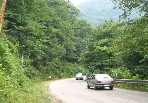 🌳🌲 تصاویر پارک جنگلی گلستان