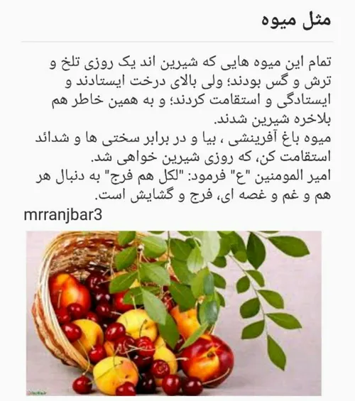 مثل میوه!