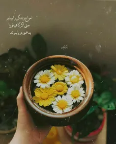 نمیشه به زندگی