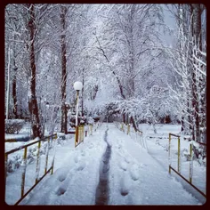 برف شمال , مازندران