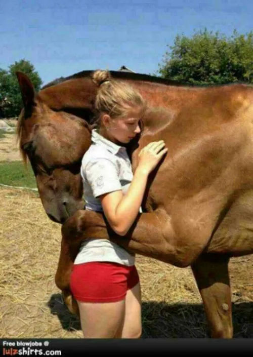 عشق اسب به دختر