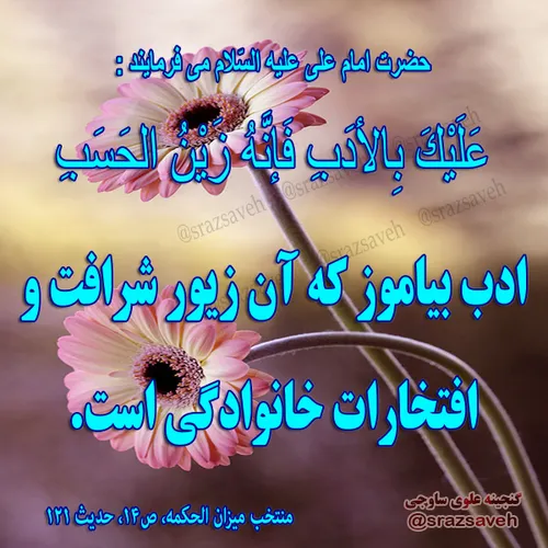 حضرت امام علی علیه السلام می فرمایند :