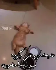 مایی ک حضوری درس نخوندیم 💔