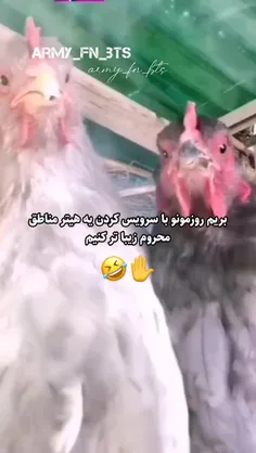 فقط چشاش