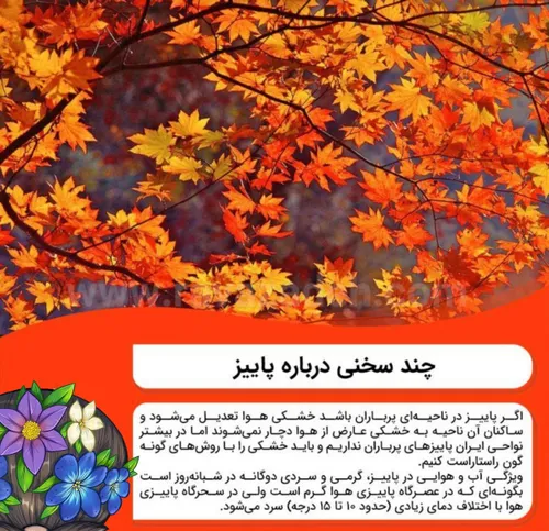 چند سخنی درباره پاییز