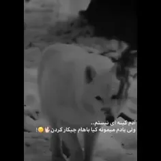 برسد روز تلافی. که بهت نمیرسه🤘😶