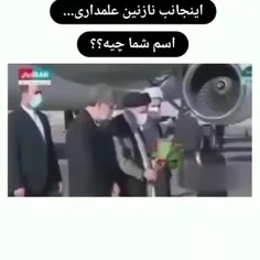 یعنی همون هیچی نگیم، سنگین تَریم...