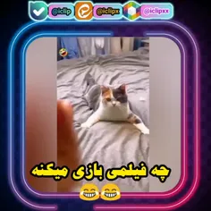 ❤کلی کلیپ  باحال داخل پیج گذاشتم ❤