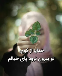 ‍ ﷽ 🍃 💚 