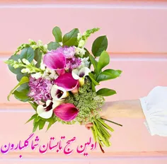 این دسته گل زیبا تقدیم به شما 🌹 🍃 