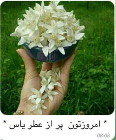 یه سلام پراز شکرگزاری.....