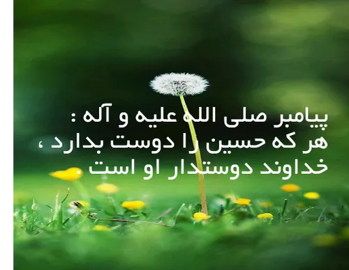 پیامبر صلی الله علیه و آله :