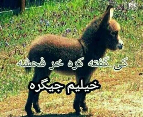 خعععععععععلی.