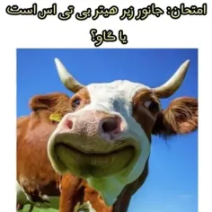 جواب بدیددد 😂