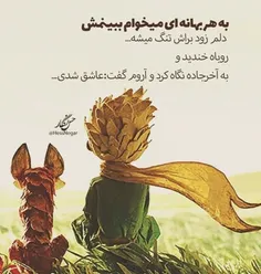 عاشق شدی...