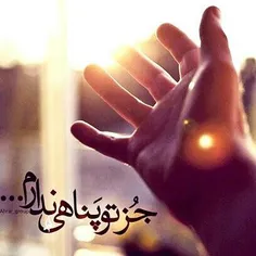 کــــــــسی چــــــــه میفهــــــــمد