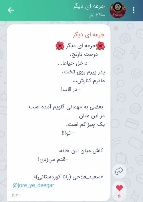 سعید فلاحی