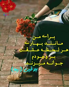 #لیلاطیبی #لیلا_طیبی #لیلا_طیبی(رها) #سعیدفلاحی #زاناکورد