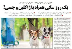 "وطن امروز" یه گزارش میدانی رفته از سگ‌‌‌هایی که قیمت بعض