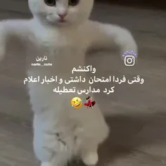 شما هم ؟🤣🤣