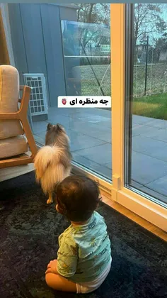 وایییی کوروششش:))))))))