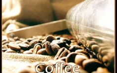 کی قهوه دوست داره؟؟؟؟؟