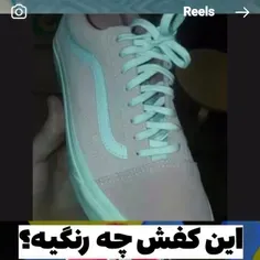 شما چه رنگی دید