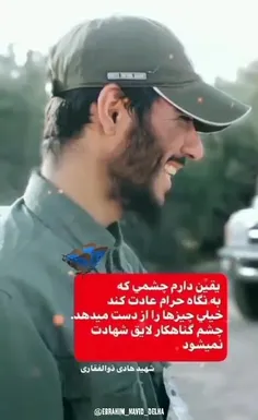 شهید هادی ذولفقاری