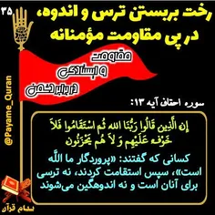 #قران #قرآن #قرآن_کریم #قران_کریم #القرآن #القران_الکریم 