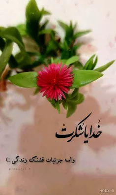 ♥️🥰خداروشکر واسه همه چییی