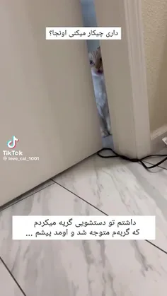 ای مادرررر