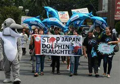 تظاهرات مخالفین شکار دلفین، مانیل-فیایپین