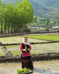 خداقوت به تمامی شیر زنان شمالی🌹🌹