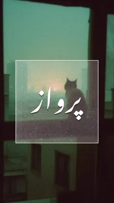 به خداوند گفتم: