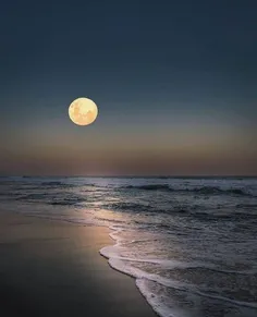 بی حضور ماه دریاهم ارزش دیدن ندارد...