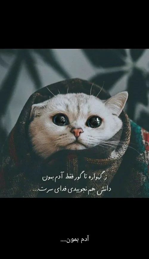 زگهواره تا گور آدم بمون