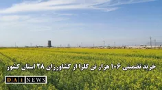 خرید تضمینی ۱۰۶ هزار تن کلزا از کشاورزان ۲۸ استان کشور