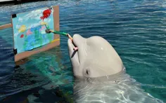 دلفین نقاش