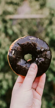 #Donut