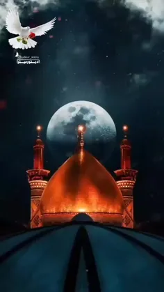 096177165578 75258729