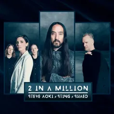 دانلود آهنگ الکترونیک از Steve Aoki با نام 2 In A Million