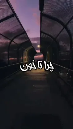 چرا بعد این همه سگدو فقط تنم پره خستگیشه.....😔