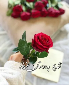 ویسگون farhankodajoo 26666481