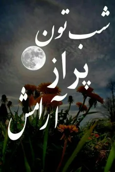 شب بخیر