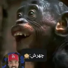 تقدیم میکنم به m😂