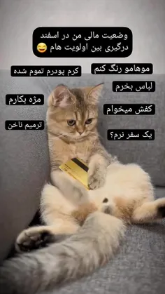 وضعیت مالیم قبل از عید🤦‍♀😂😍